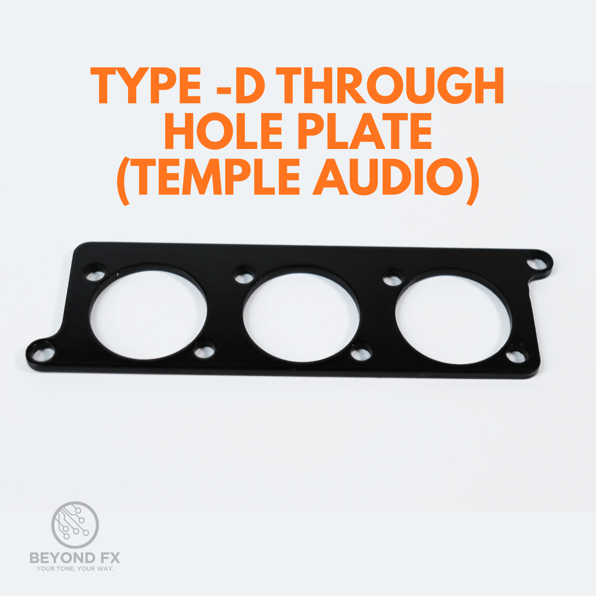 TEMPLE AUDIO THROUGH HOLE PLATE